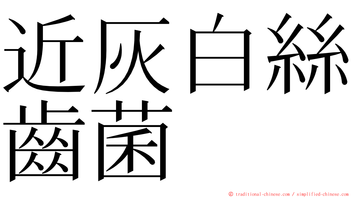 近灰白絲齒菌 ming font