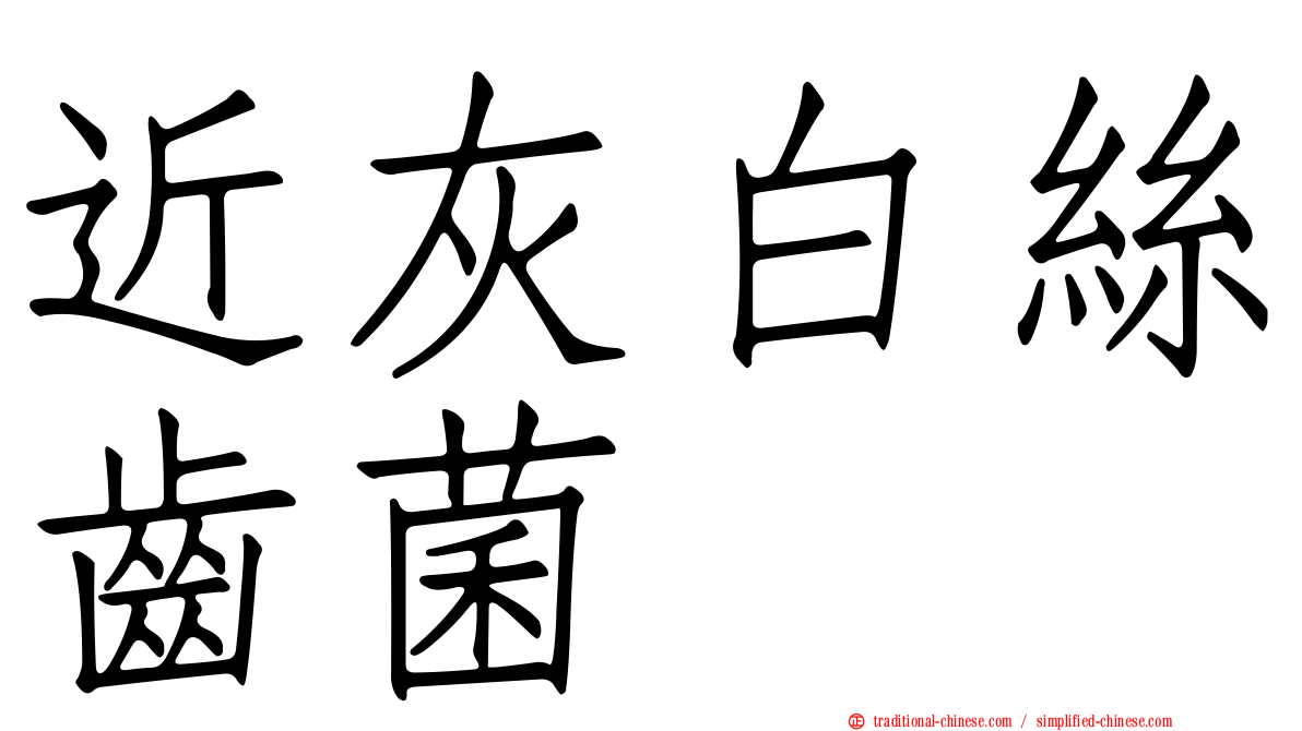 近灰白絲齒菌