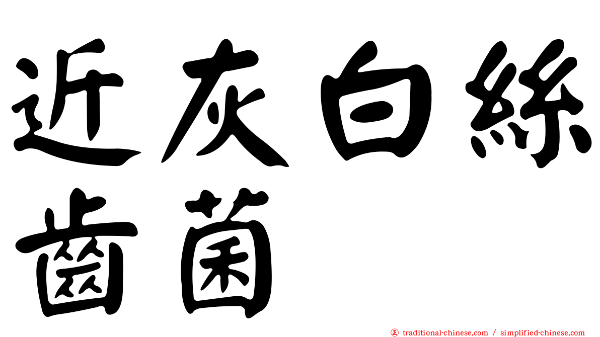 近灰白絲齒菌