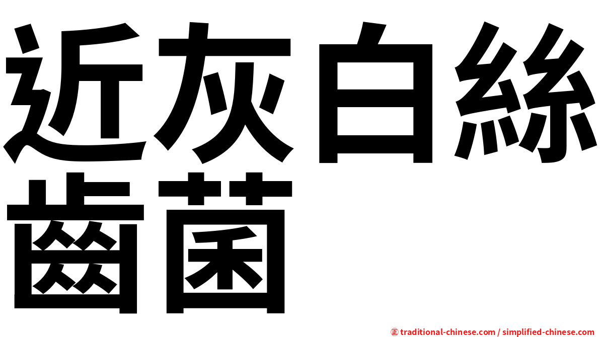 近灰白絲齒菌