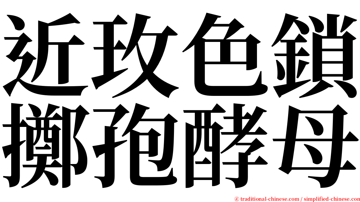 近玫色鎖擲孢酵母 serif font