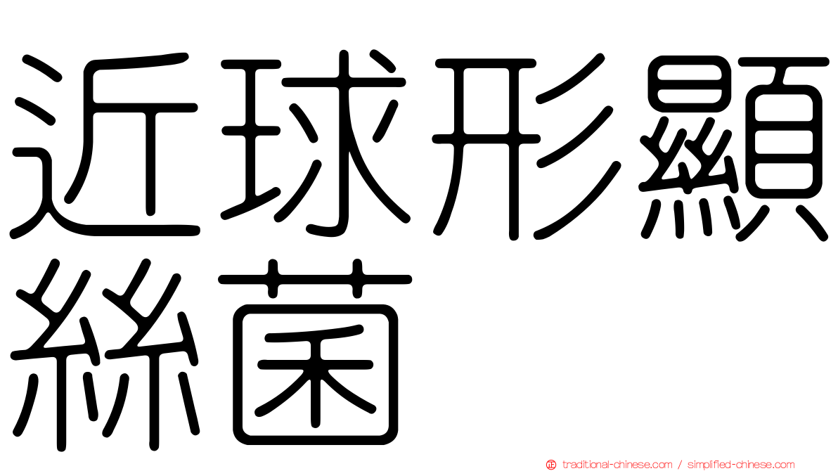 近球形顯絲菌