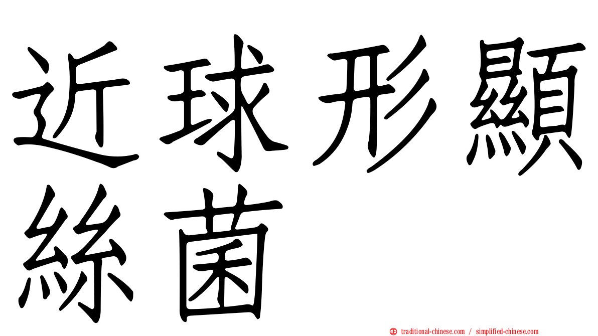 近球形顯絲菌
