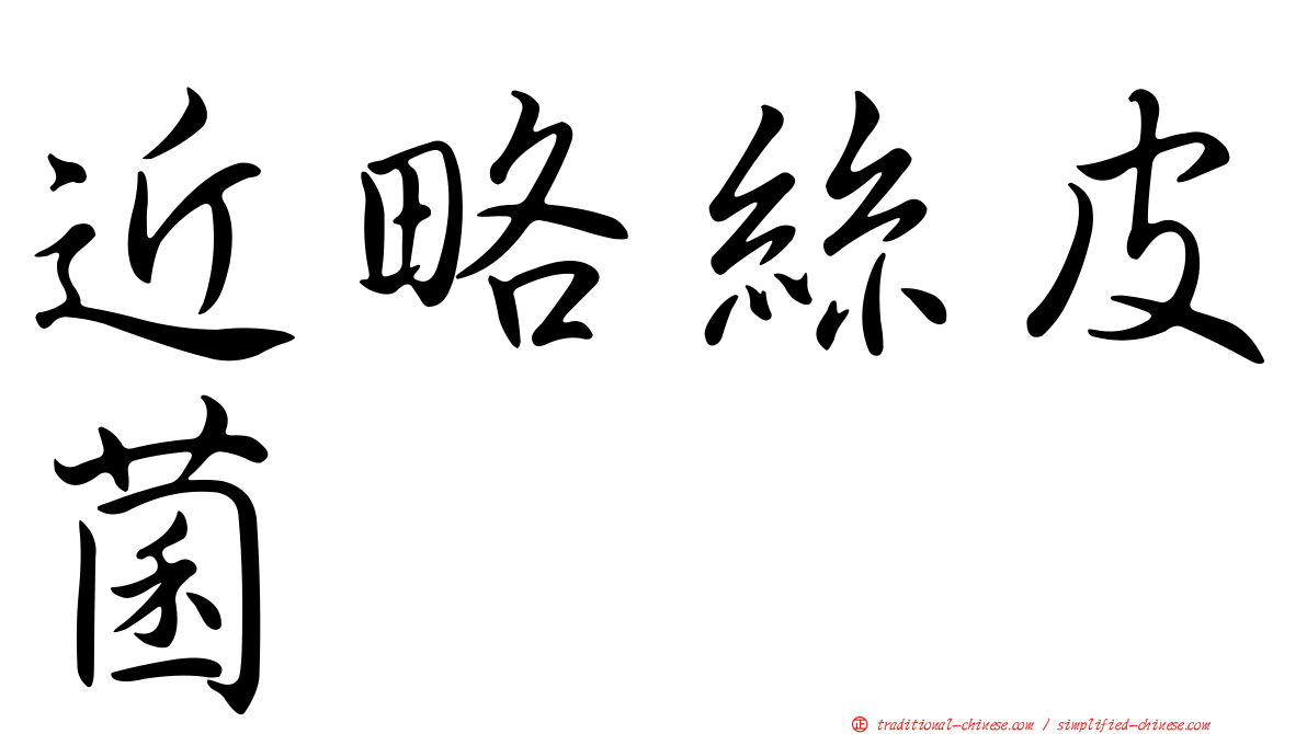 近略絲皮菌