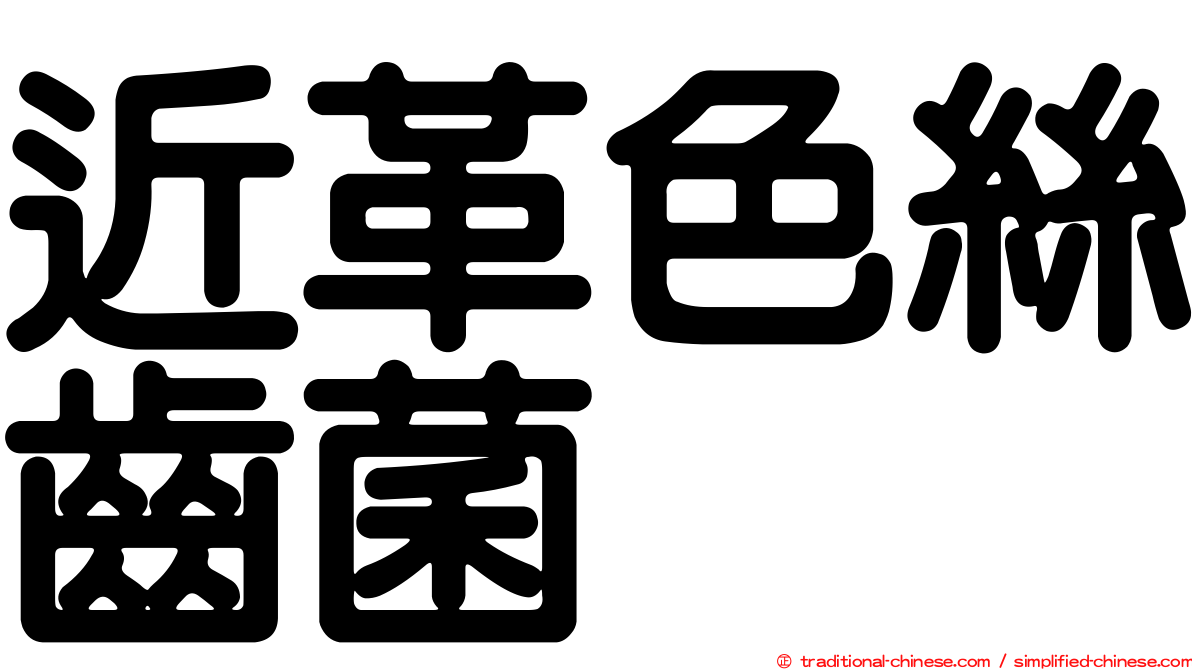 近革色絲齒菌