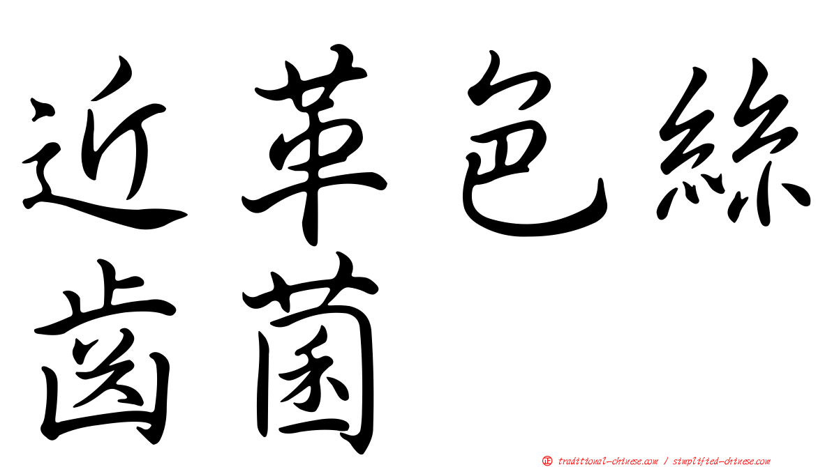 近革色絲齒菌