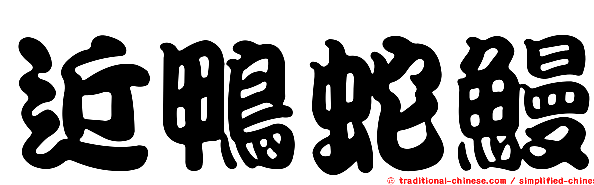 近鴨蛇鰻