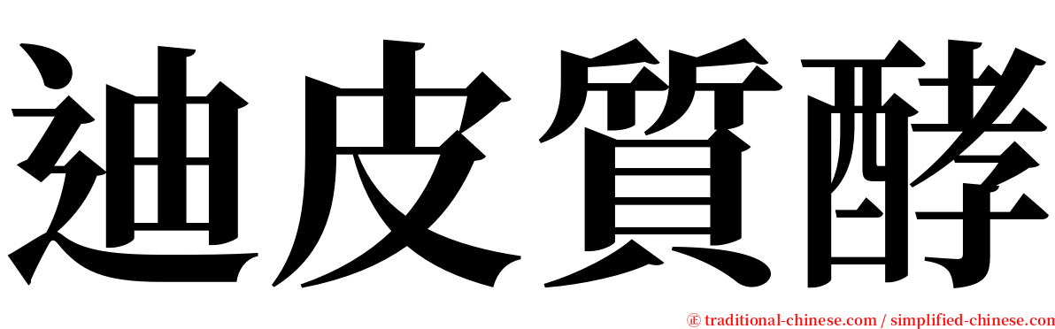 迪皮質酵 serif font
