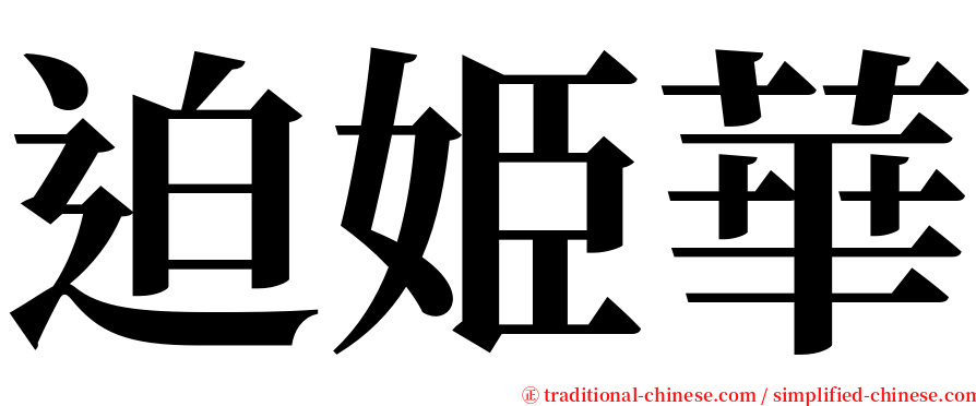 迫姫華 serif font