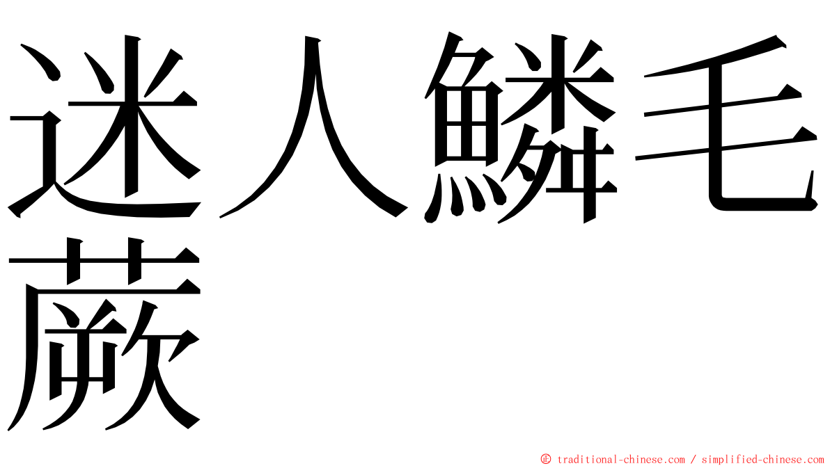 迷人鱗毛蕨 ming font