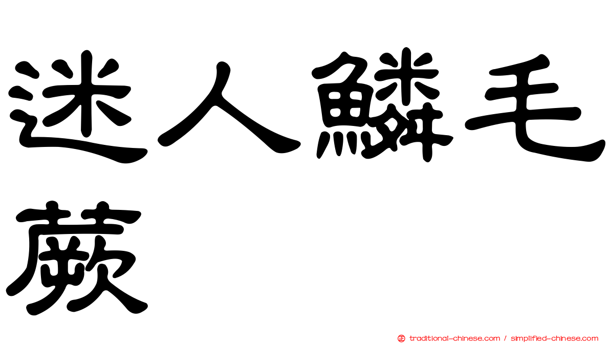 迷人鱗毛蕨