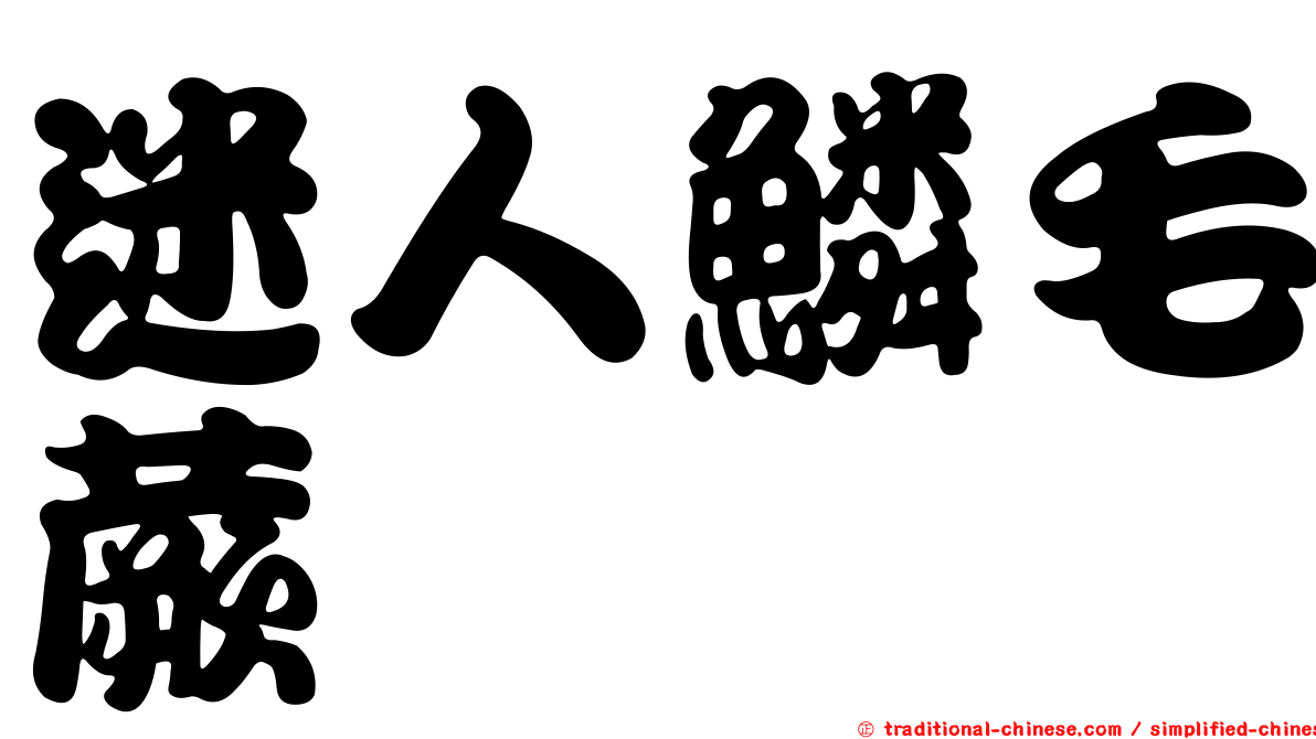 迷人鱗毛蕨