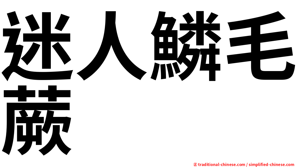 迷人鱗毛蕨