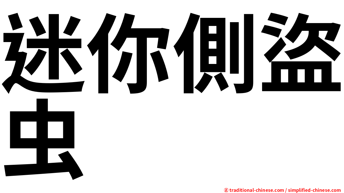 迷你側盜虫