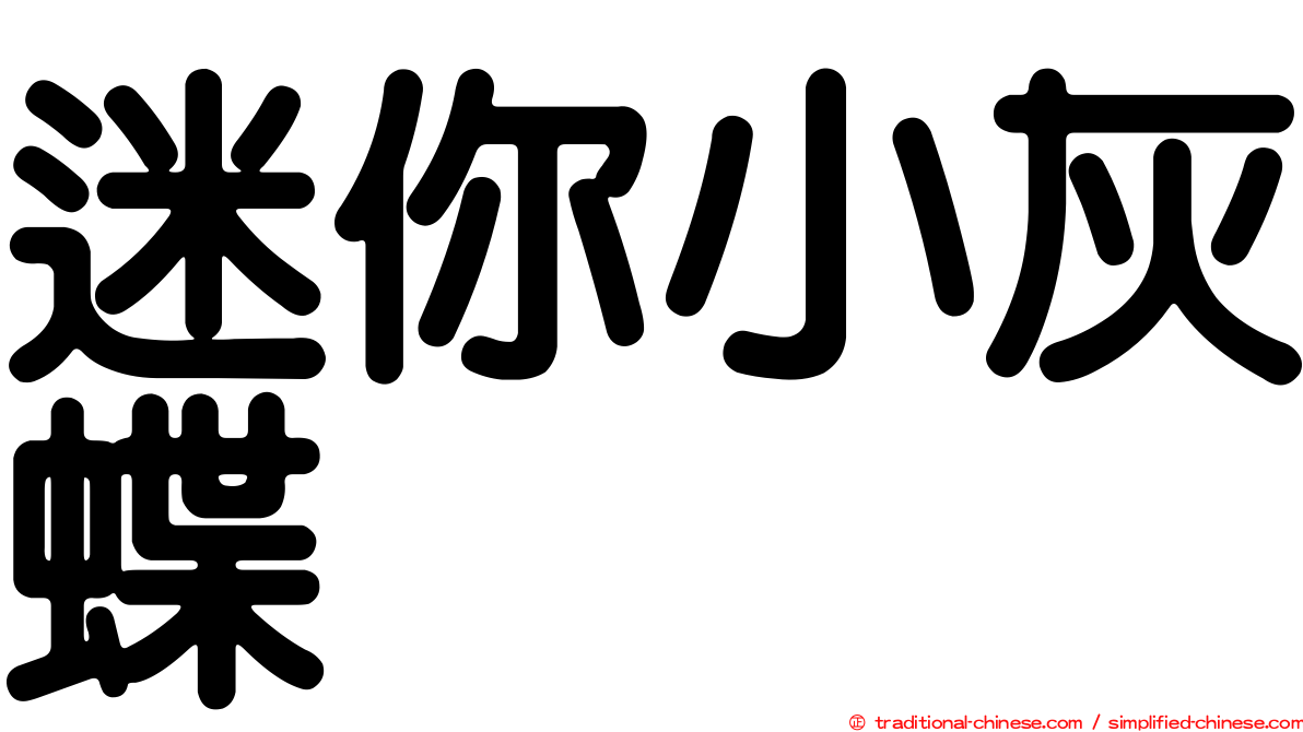 迷你小灰蝶