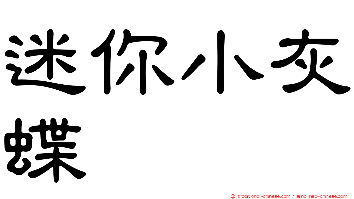 迷你小灰蝶