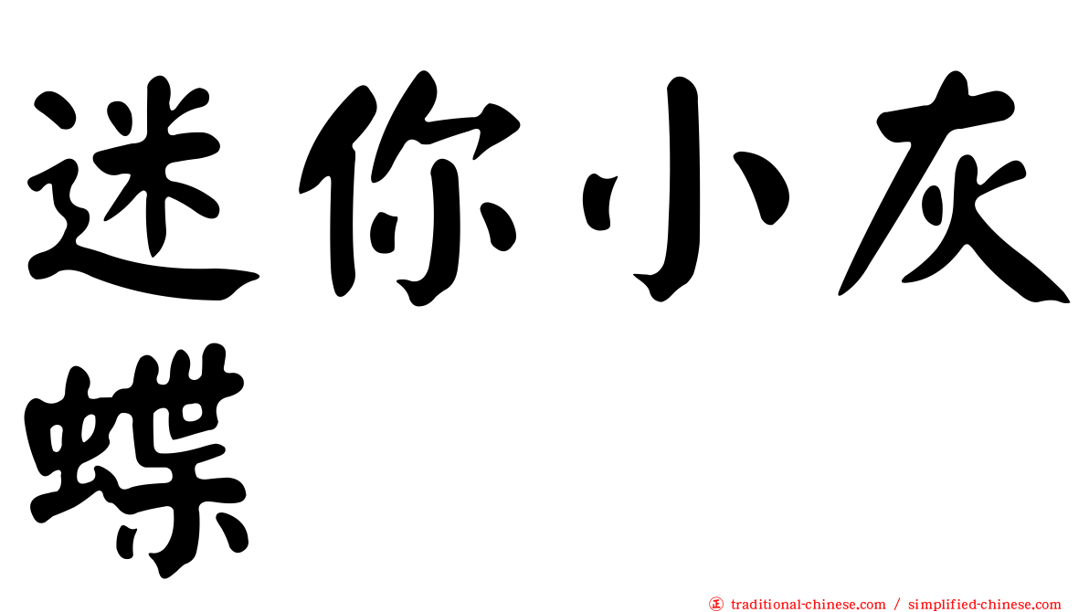 迷你小灰蝶