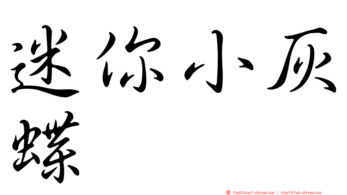 迷你小灰蝶