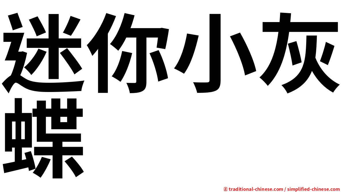 迷你小灰蝶