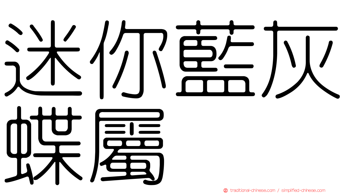 迷你藍灰蝶屬