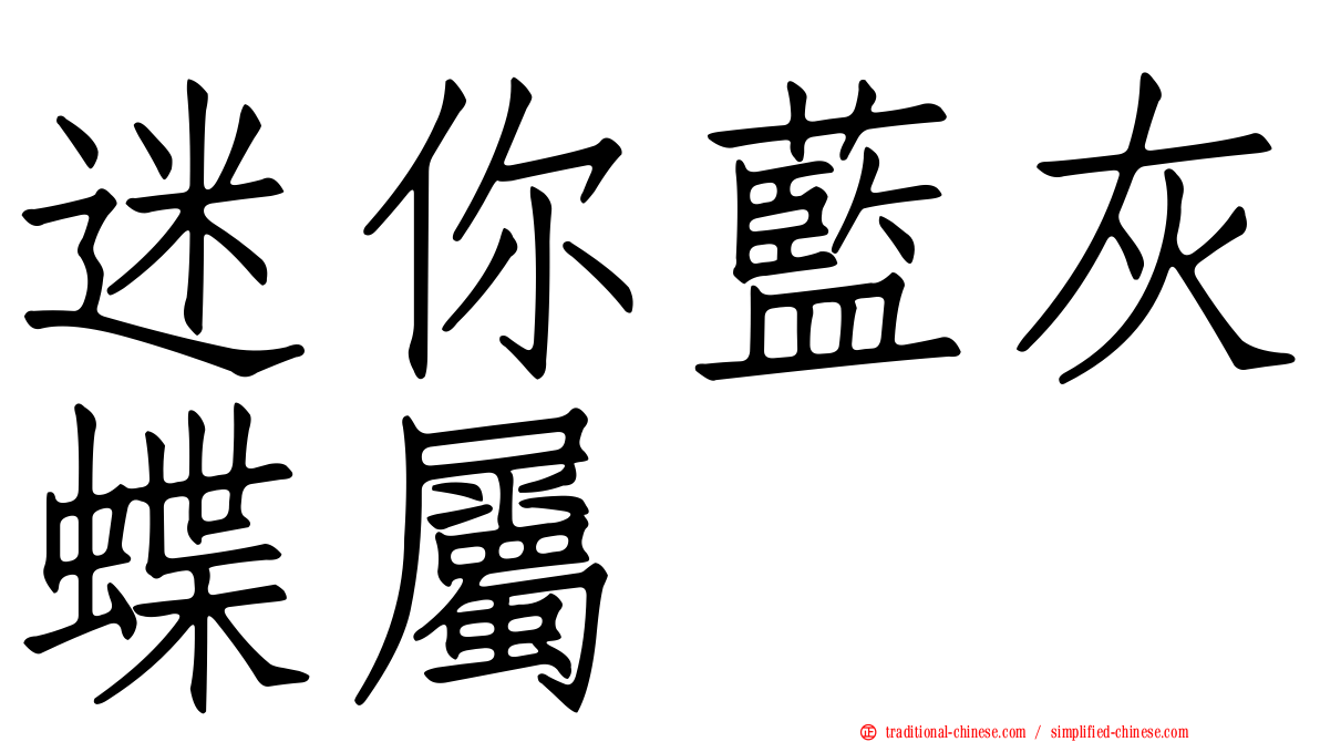 迷你藍灰蝶屬