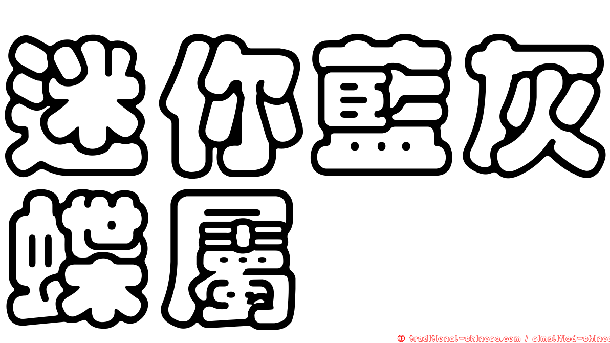 迷你藍灰蝶屬