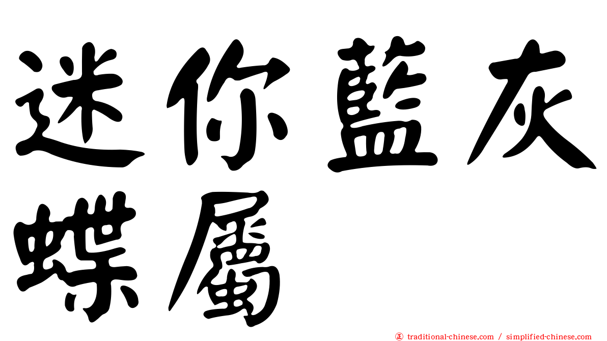 迷你藍灰蝶屬