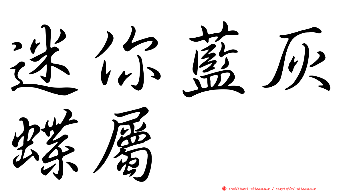 迷你藍灰蝶屬
