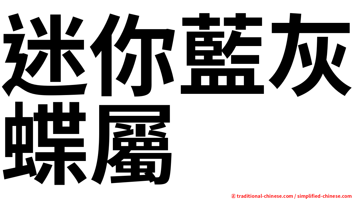 迷你藍灰蝶屬