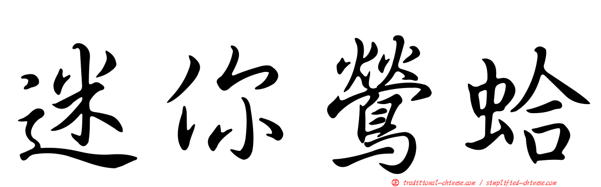 迷你鶯蛤