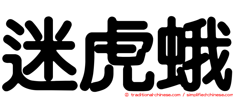 迷虎蛾