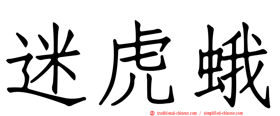 迷虎蛾