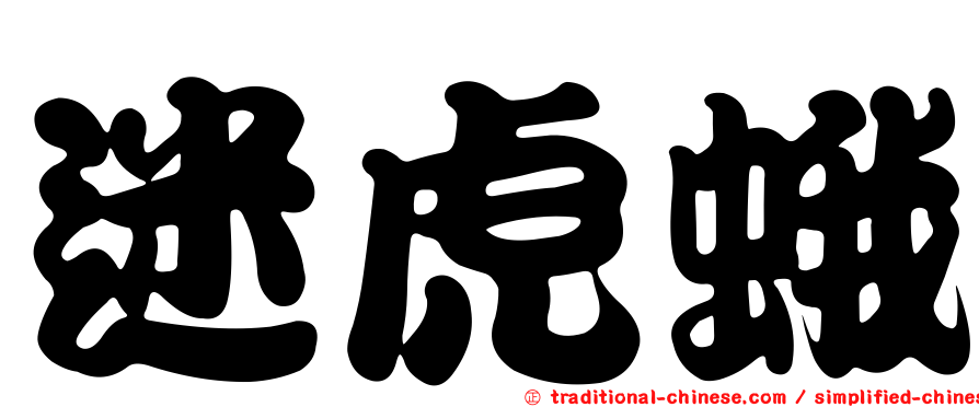迷虎蛾