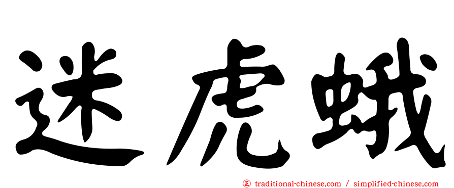 迷虎蛾