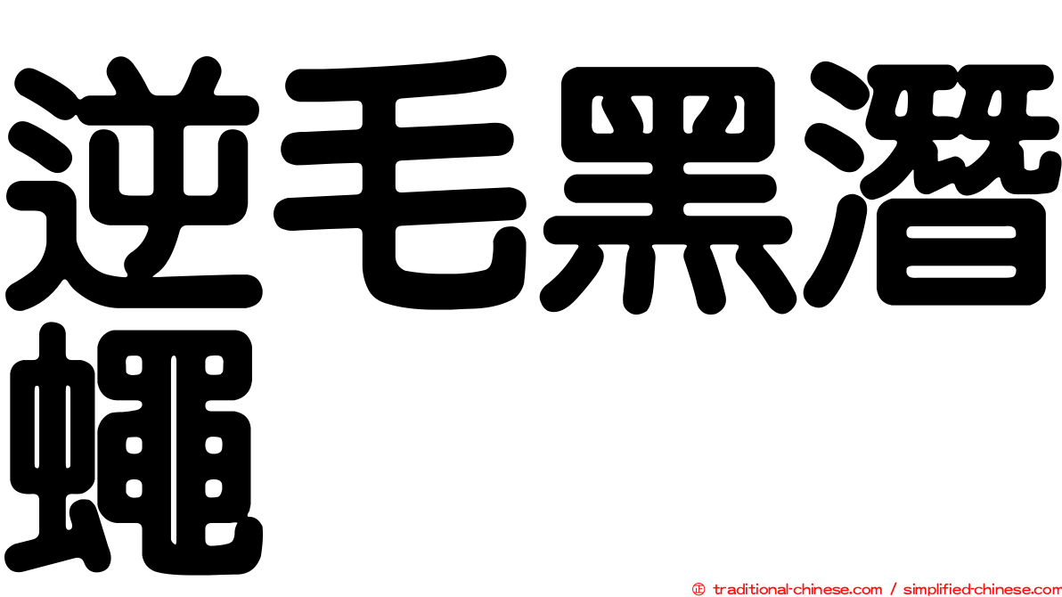 逆毛黑潛蠅