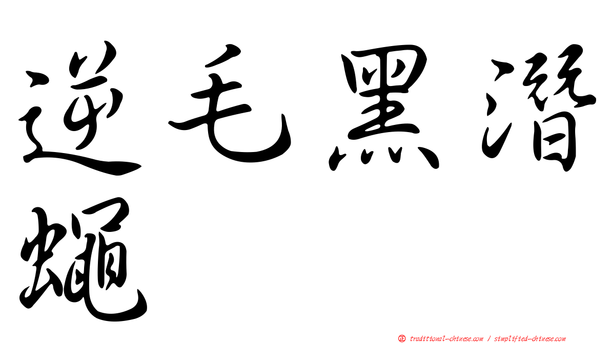 逆毛黑潛蠅