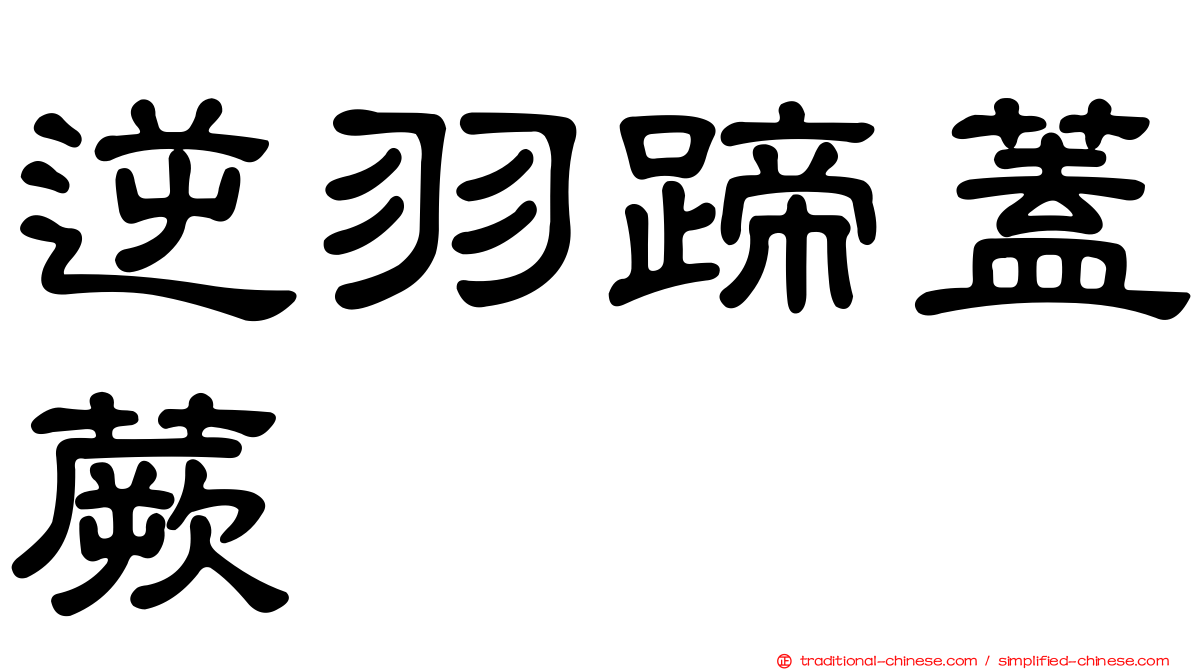 逆羽蹄蓋蕨