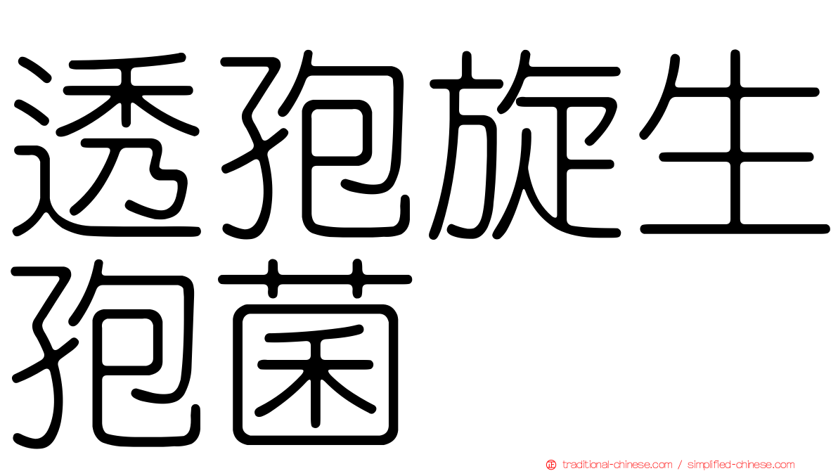 透孢旋生孢菌