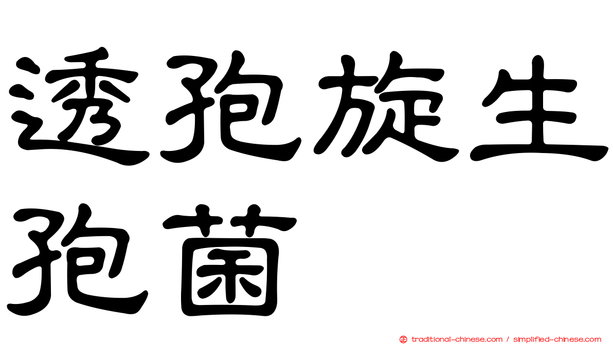 透孢旋生孢菌