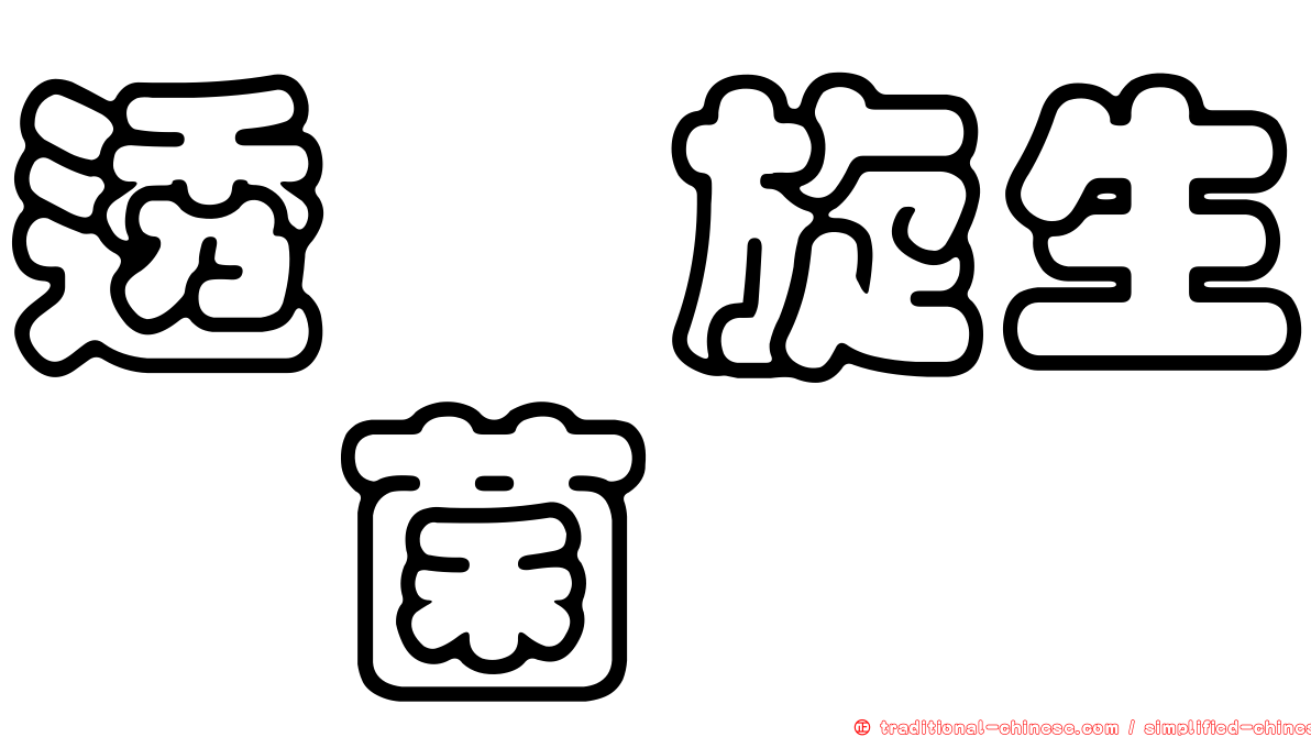透孢旋生孢菌