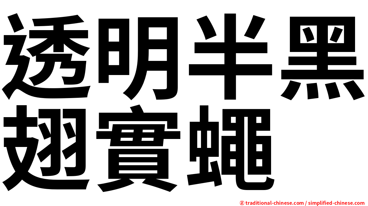 透明半黑翅實蠅