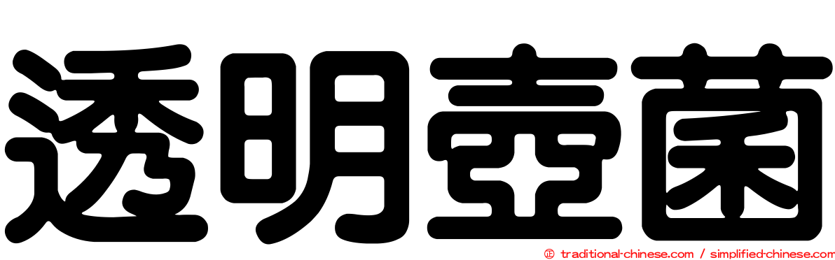 透明壺菌