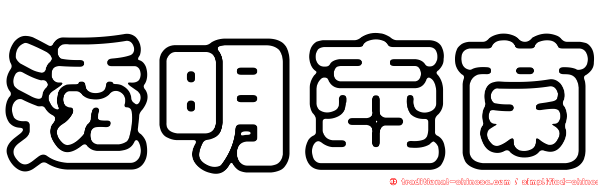 透明壺菌