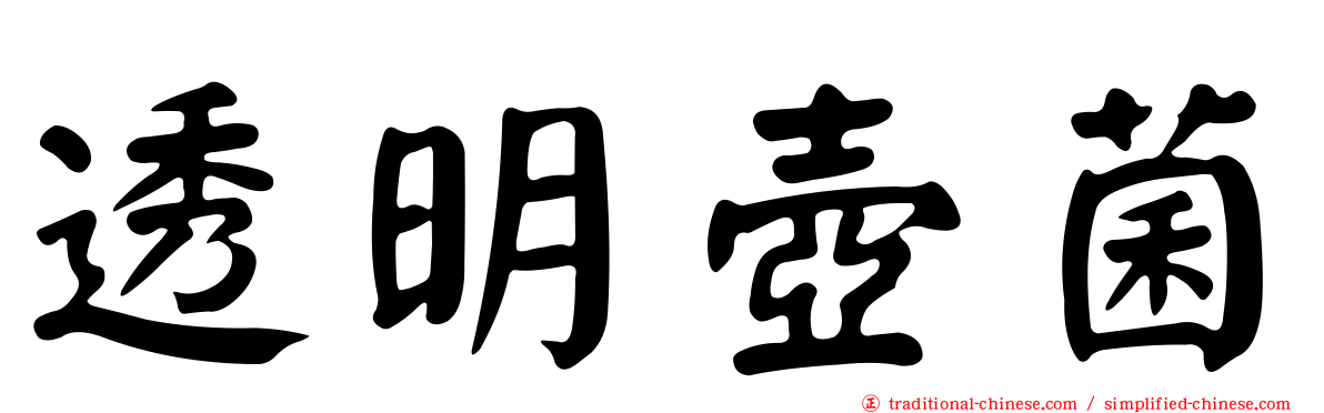 透明壺菌