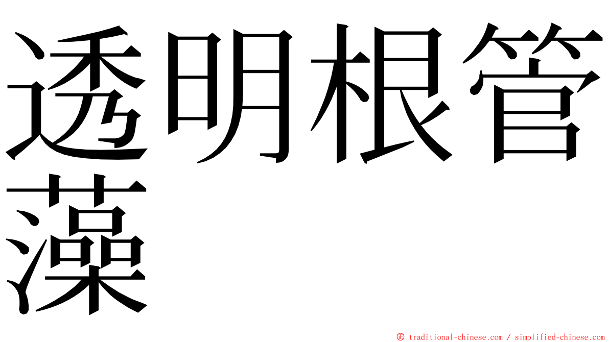 透明根管藻 ming font
