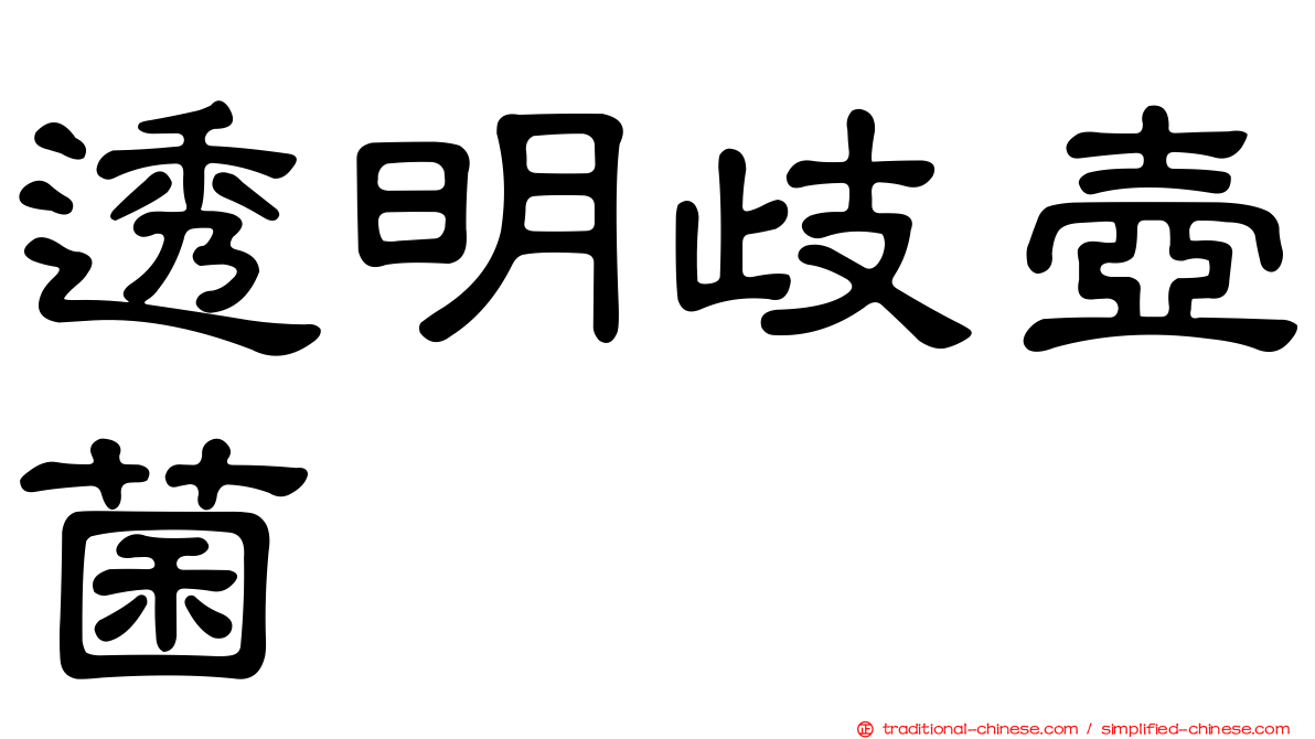 透明歧壺菌