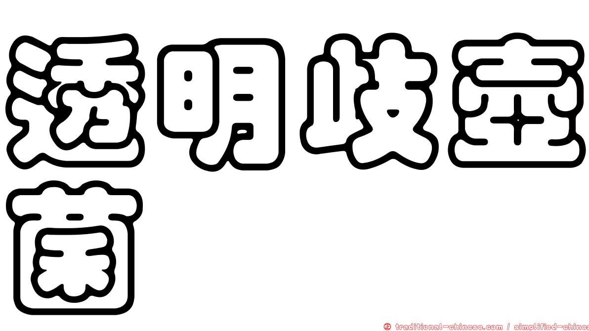 透明歧壺菌