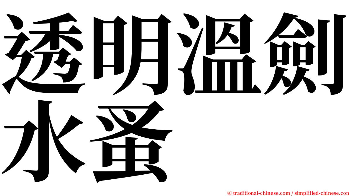 透明溫劍水蚤 serif font