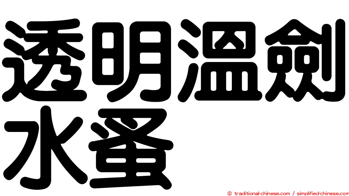 透明溫劍水蚤
