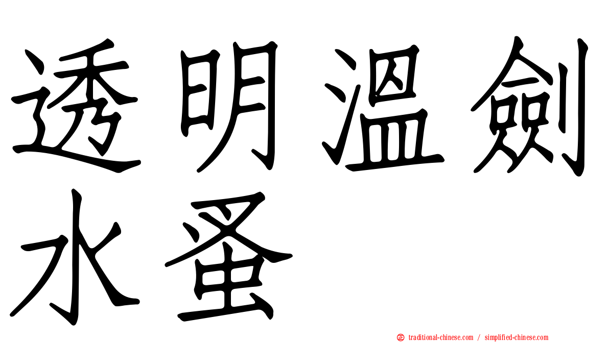透明溫劍水蚤